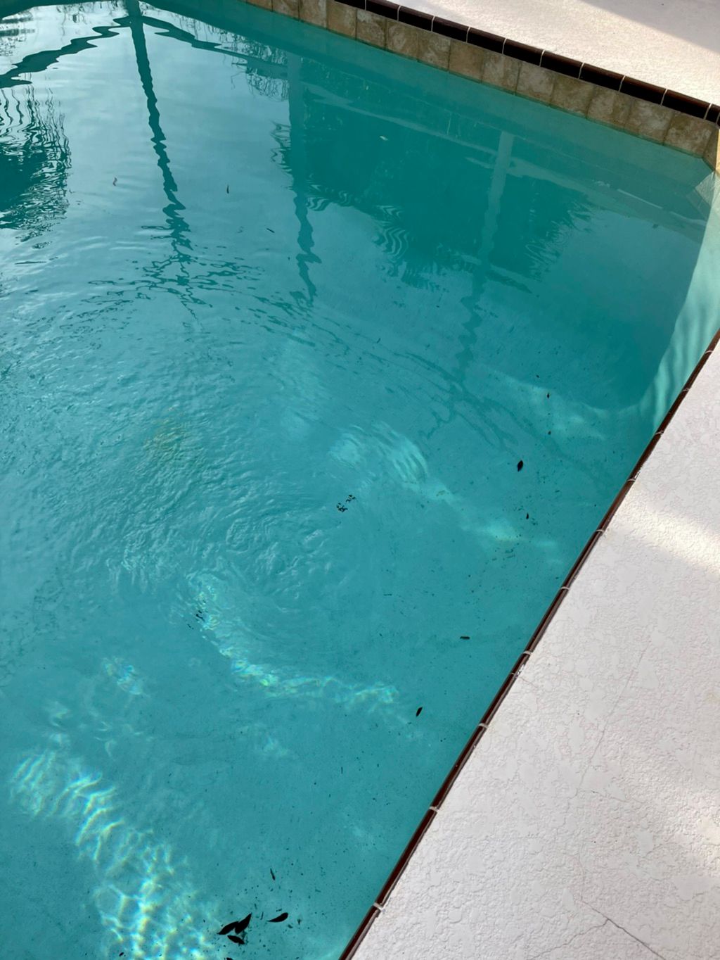 Zachary & Sons Pool Zachary & Sons Pool Leesburg, FL